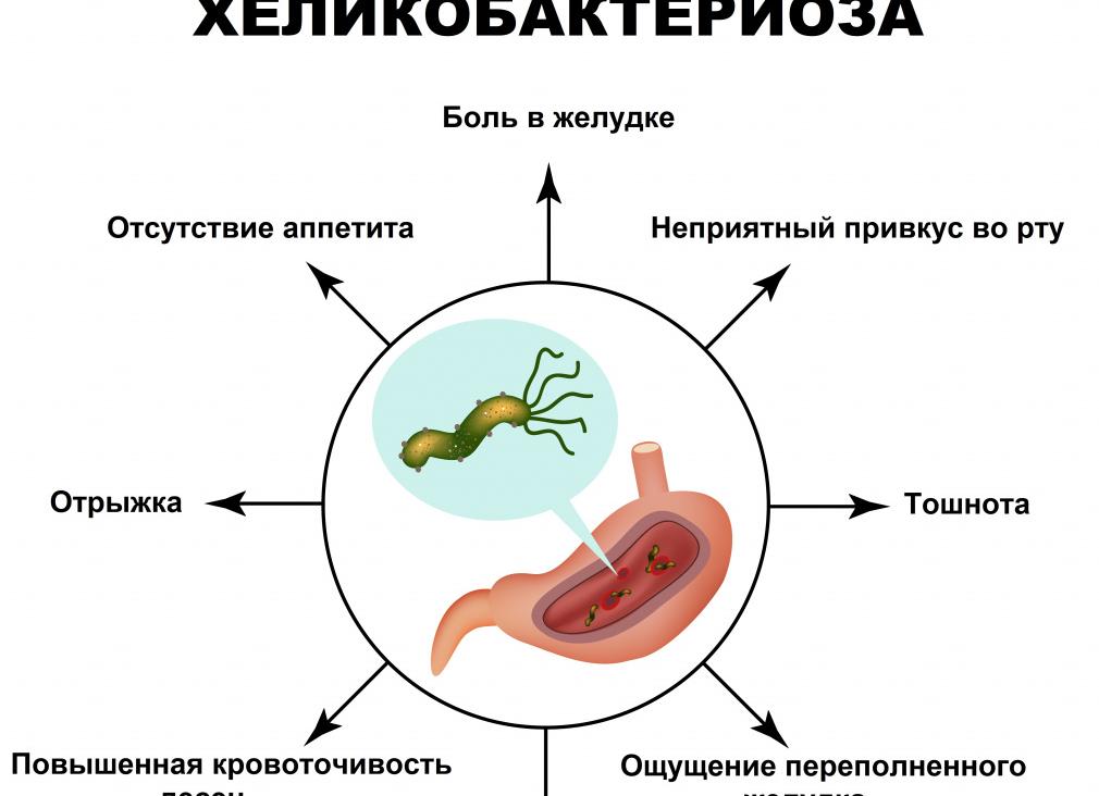 Хилак бактер что это такое