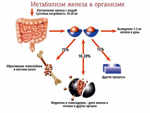 Гипохромная анемия что такое