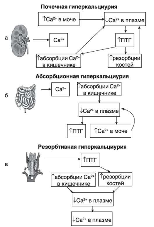 Кальций в моче
