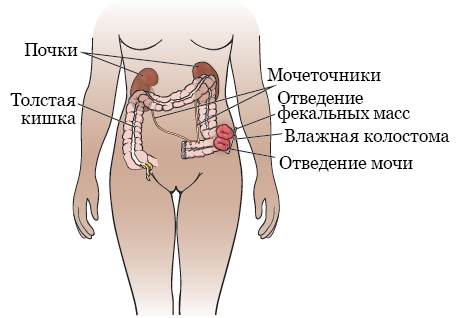 Количество мочи в норме за раз