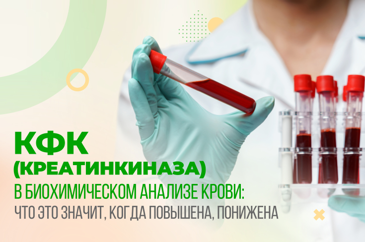 Креатинфосфокиназа в крови что это такое