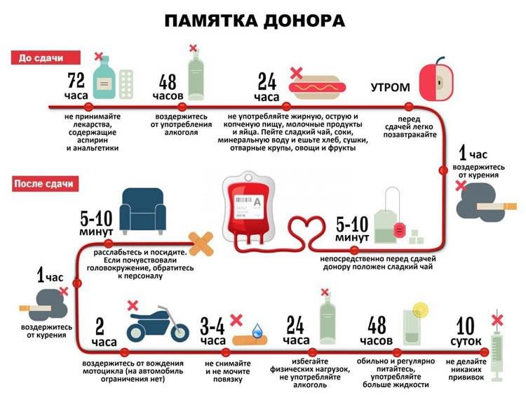 Можно ли заниматься спортом перед сдачей крови