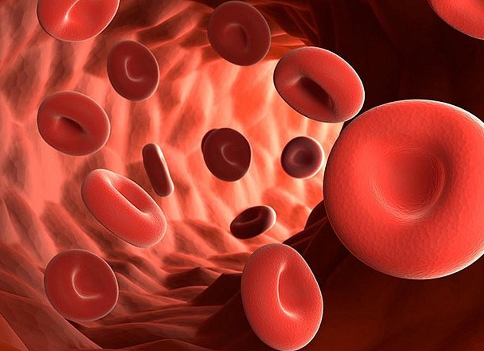 Какой гемоглобин должен быть у здорового человека Какой гемоглобин должен быть у здорового человека