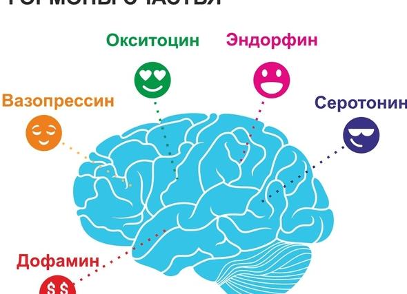 Избыток серотонина ведет к недостатку дофамина