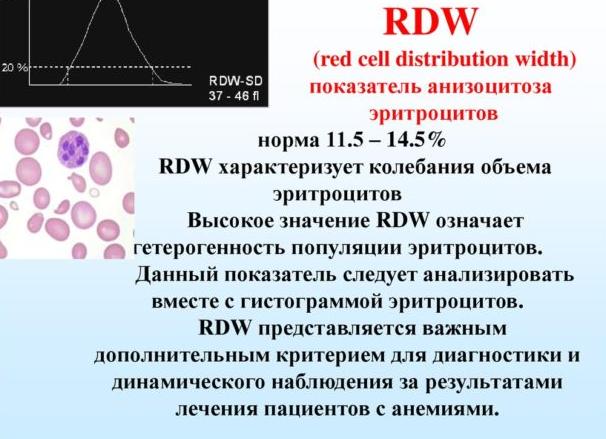 Что такое мсн в анализе крови Что такое мсн в анализе крови