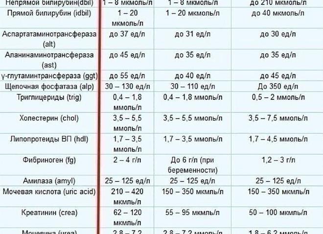 Биохимический анализ крови расшифровка норма таблица