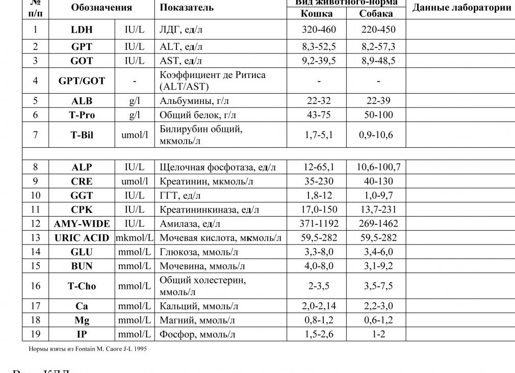 Бак анализ крови Бак анализ крови