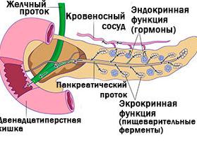 Анализ поджелудочной железы на ферменты