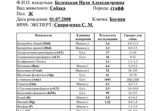 Анализ крови на стерильность что показывает