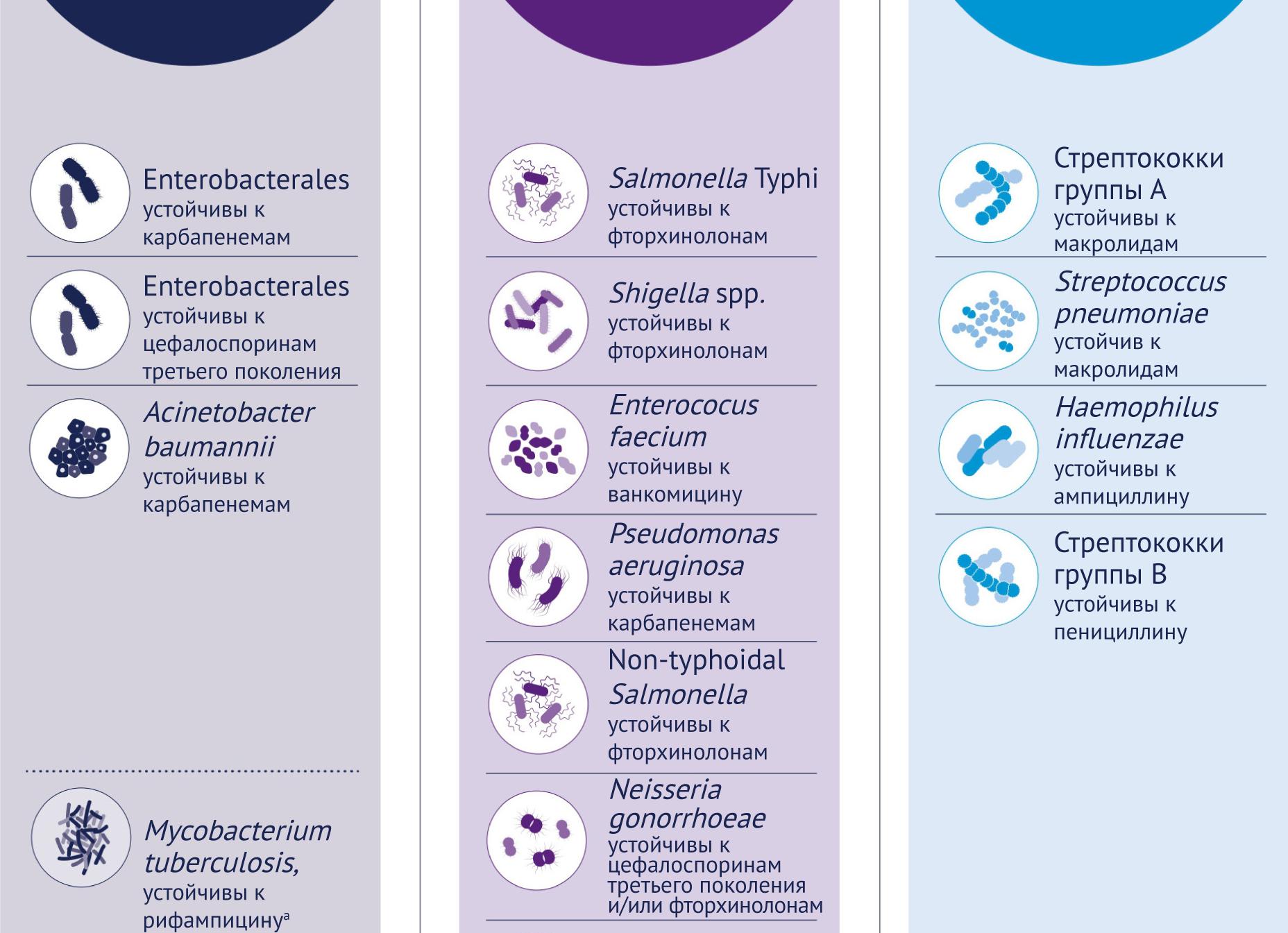 Анализ крови на стафилококк и стрептококк