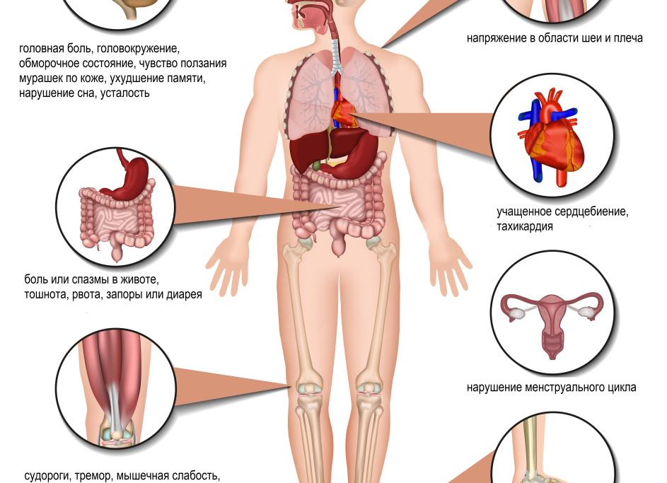 Магний в крови повышен причины
