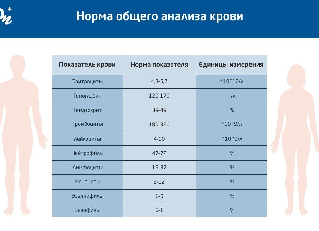 Какая норма лейкоцитов у мужчин в крови