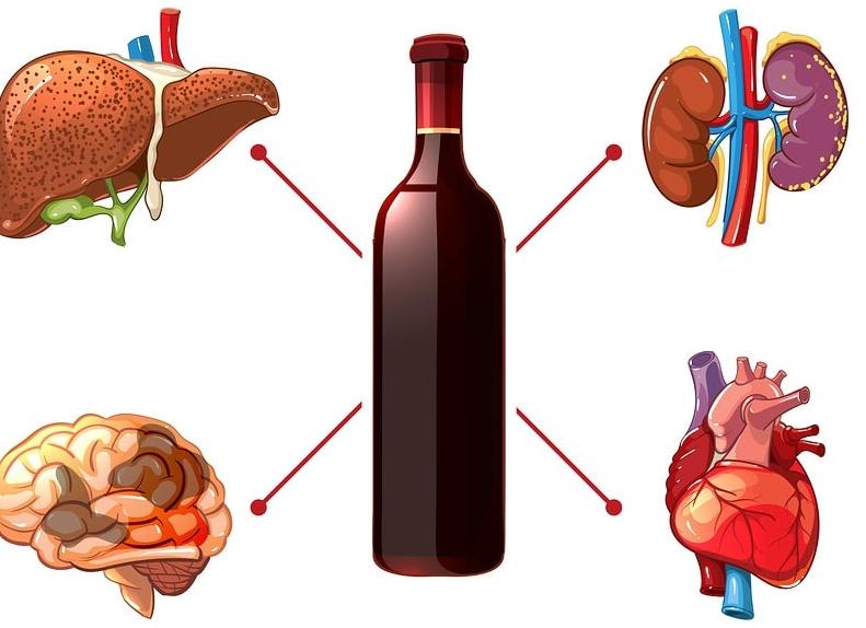 Как влияет алкоголь на гемоглобин в крови