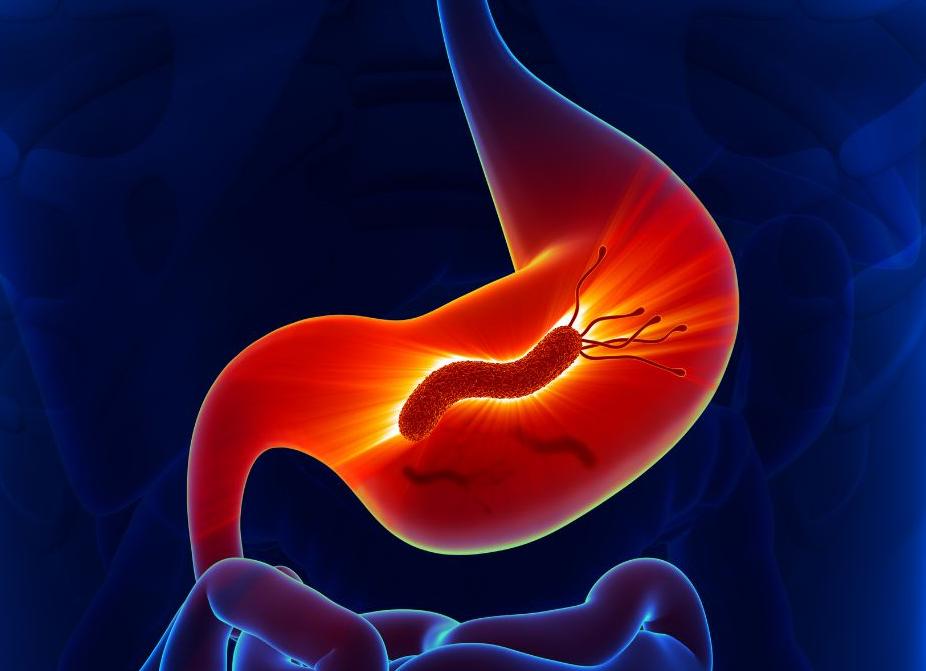 Хеликобактер пилори что такое