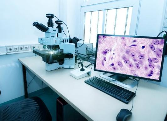 Биопсия сколько ждать результат