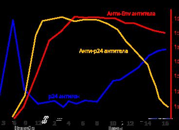 Антитела к вич Антитела к вич