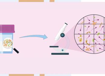 Анализ на посев спермы