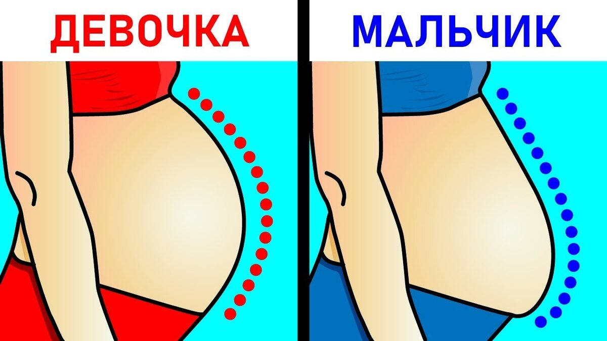 Как понять пол ребенка