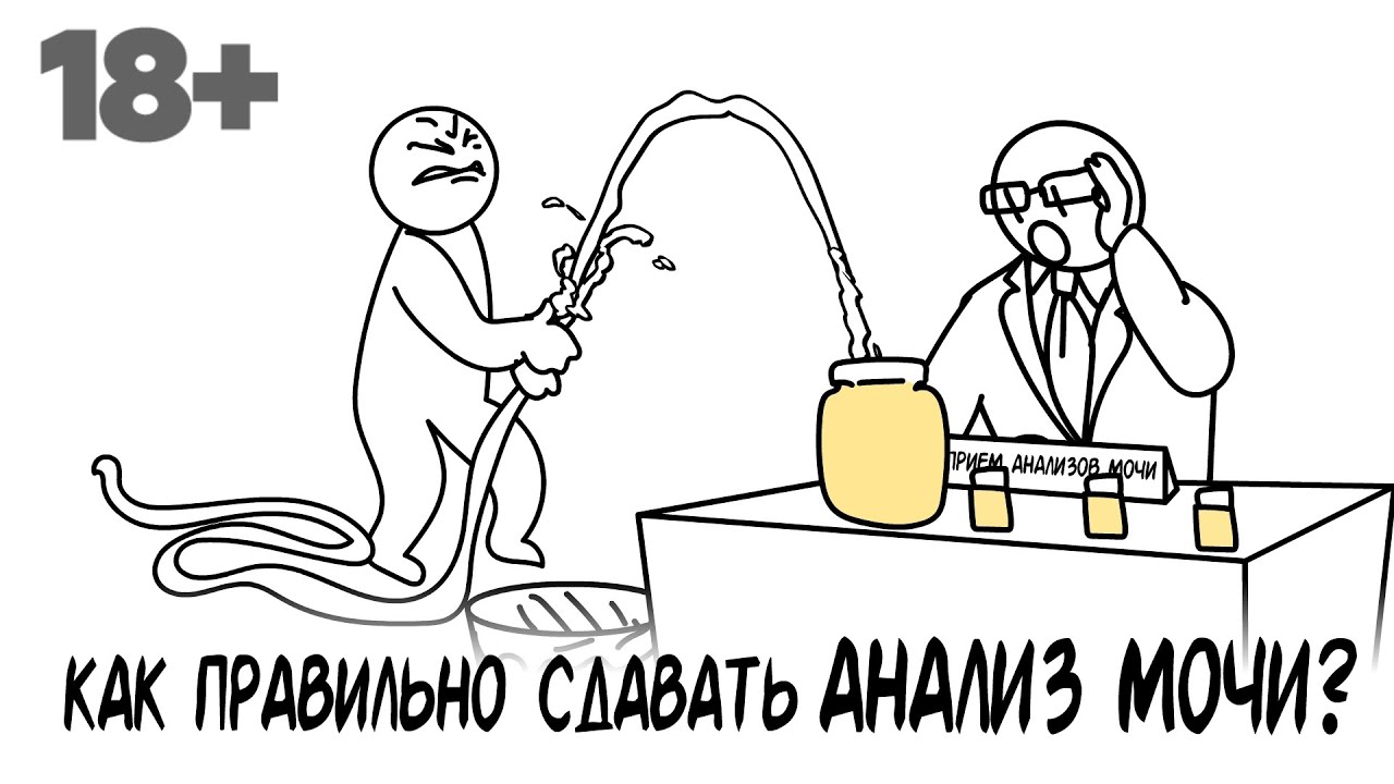 Как сдать бак посев мочи правильно