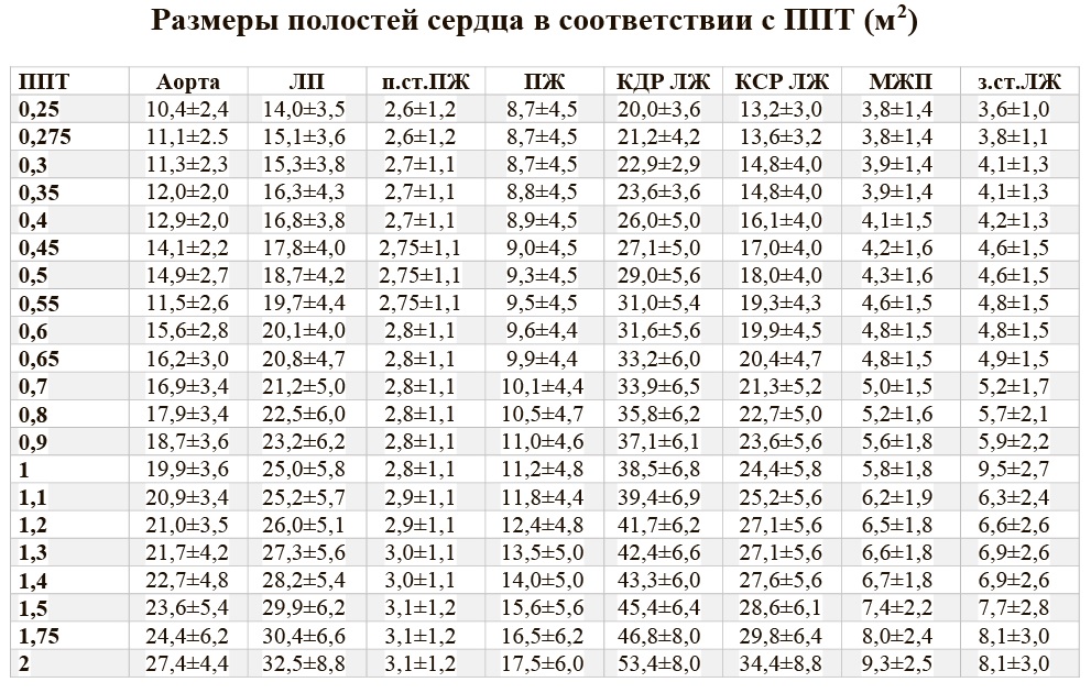 Левый желудочек кдр норма