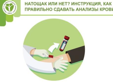 Кровь сдают натощак или нет