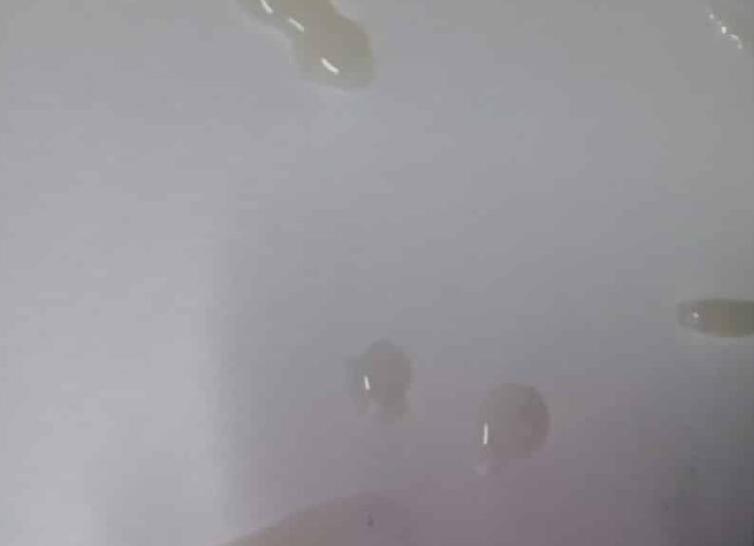 Какой цвет спермы