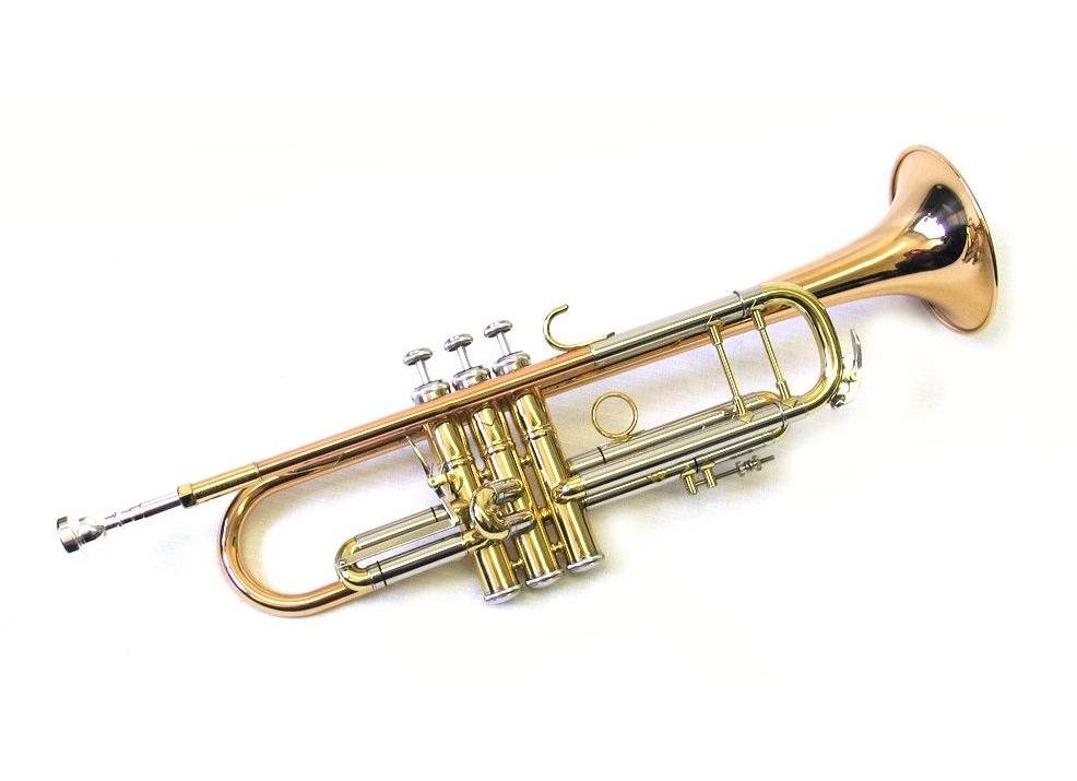 Как выглядит труба