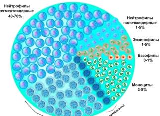 Как обозначаются моноциты в анализе крови Как обозначаются моноциты в анализе крови