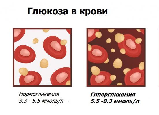 Что показывает глюкоза в крови