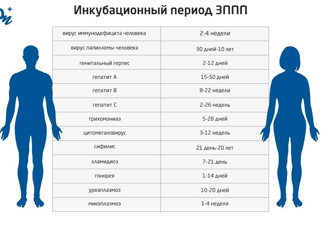 Через какое время проявляются половые инфекции