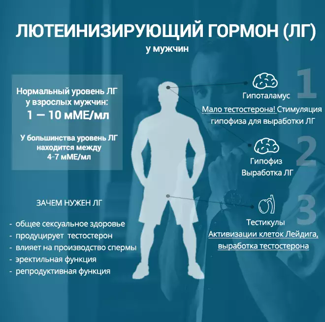 Гормон лютеинизирующий за что отвечает у женщин