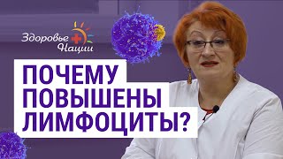 Лимфоциты 46 у женщин что это означает
