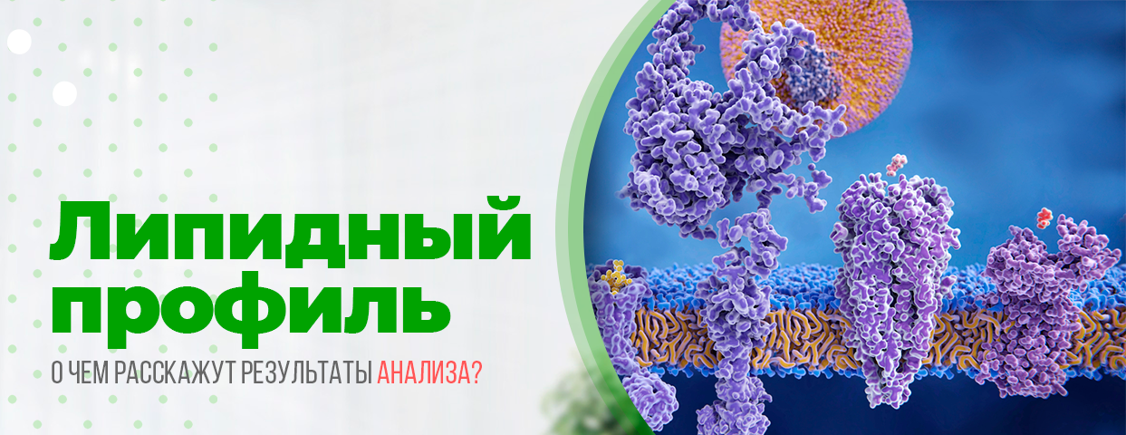 Липидный профиль расшифровка