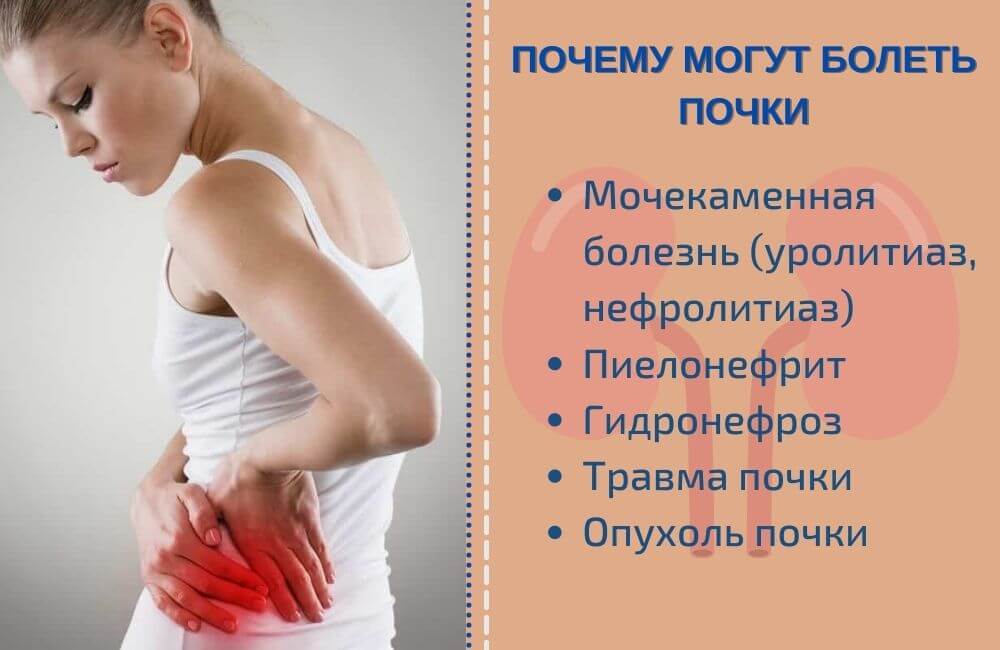 Может ли болеть почка