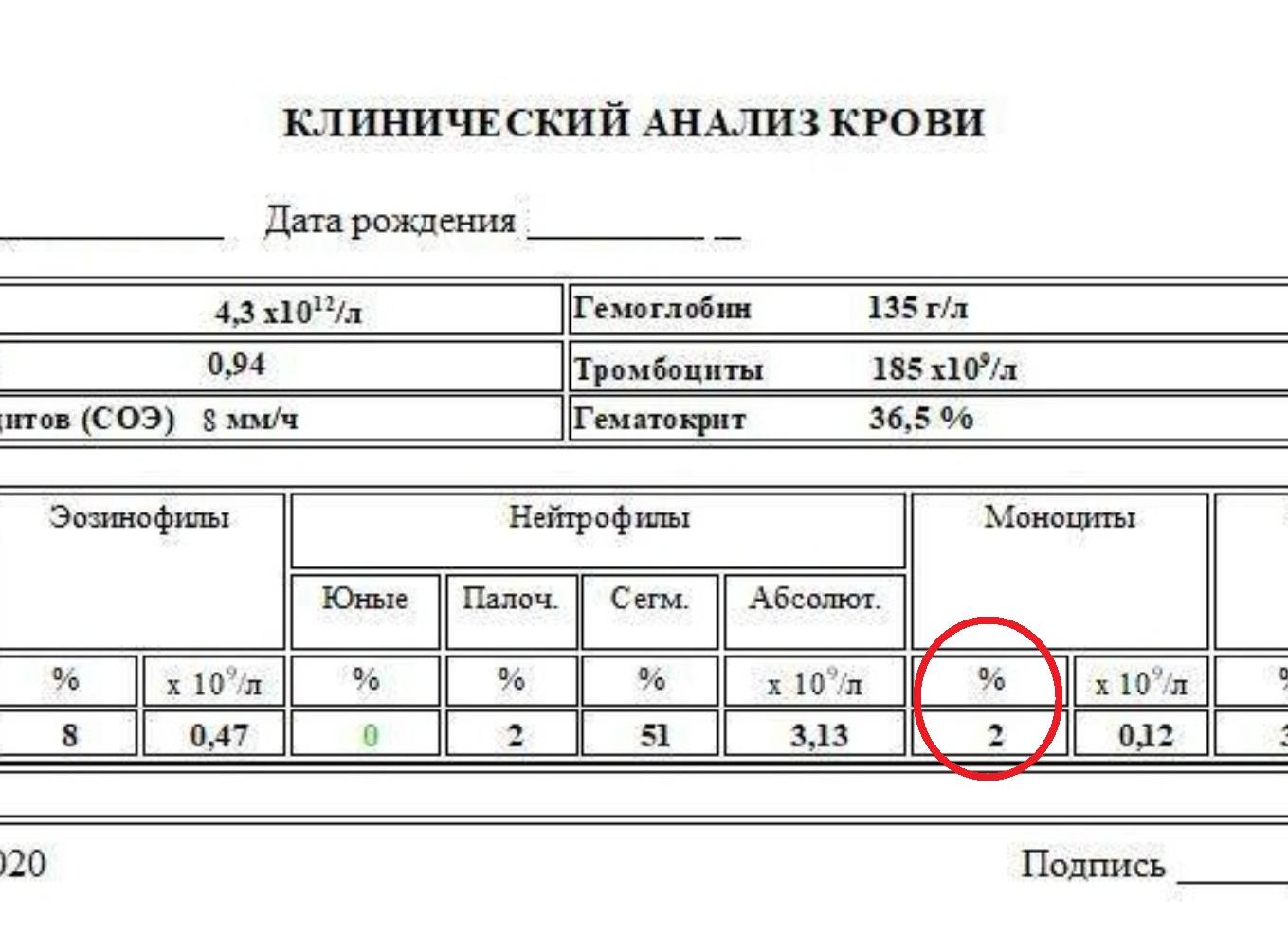 Моноциты абс повышены