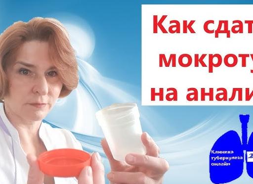 Как сдавать мокроту на туберкулез Как сдавать мокроту на туберкулез