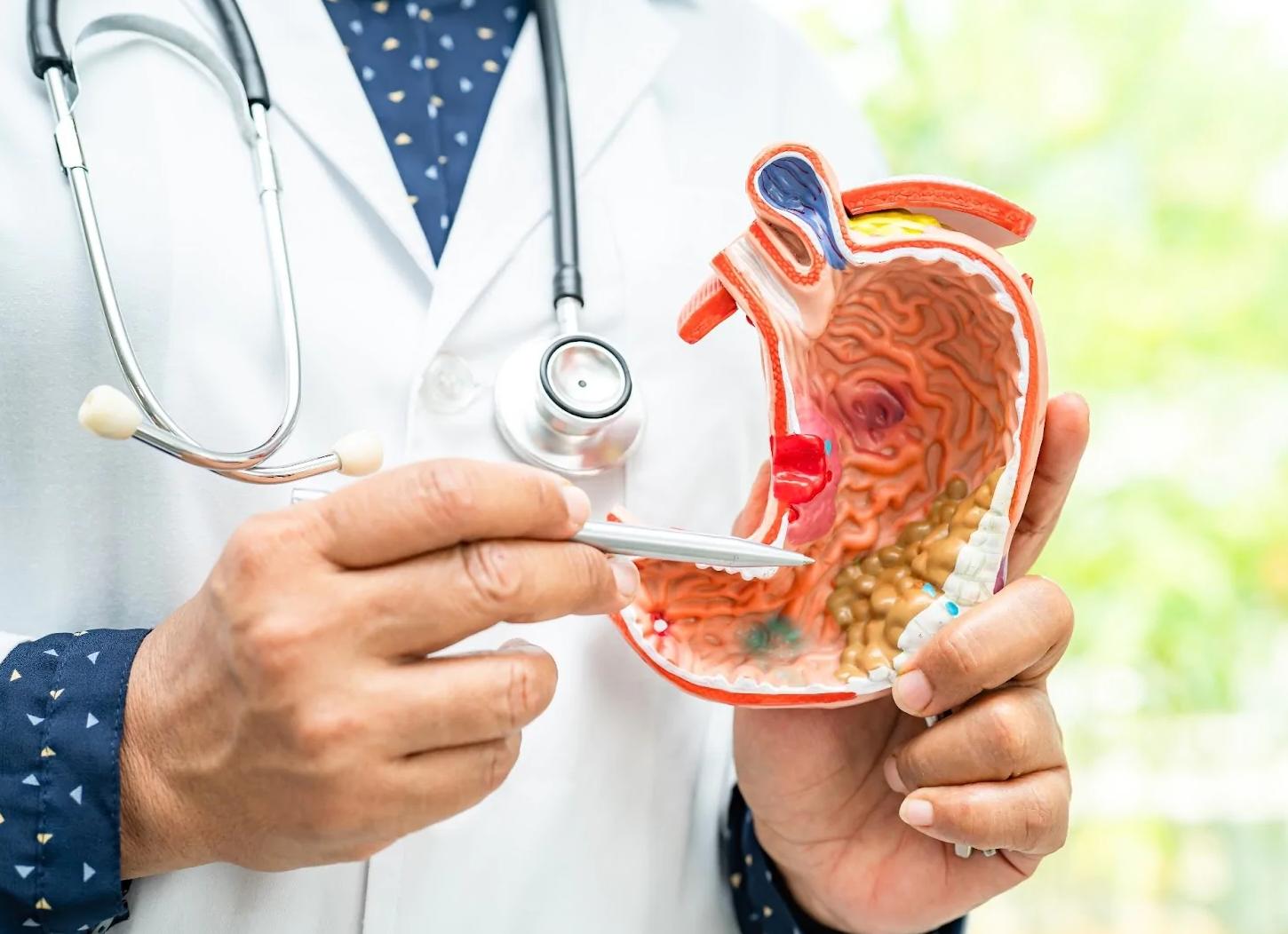 Как проверить желудок не глотая кишку