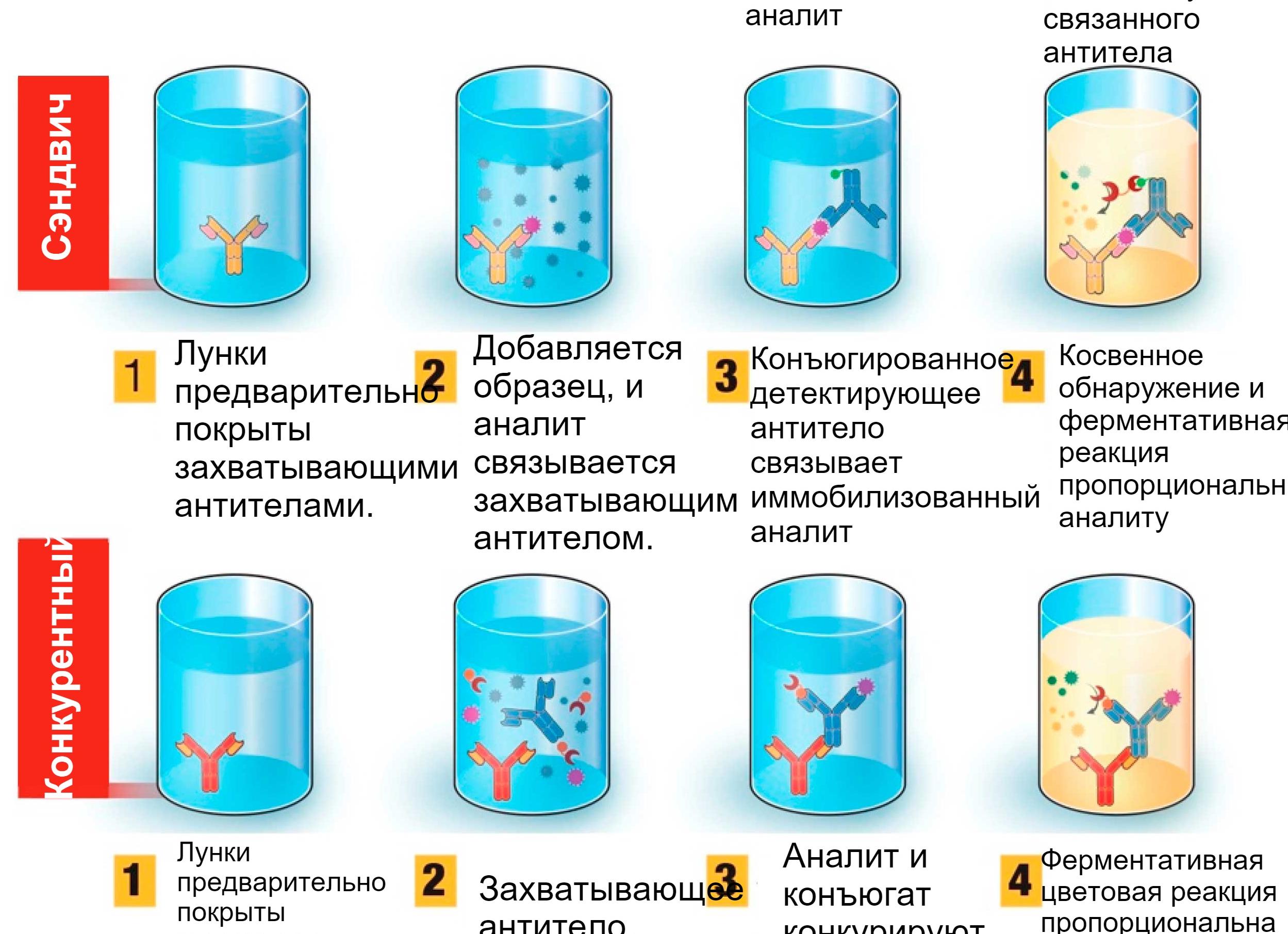 Ифа анализ что