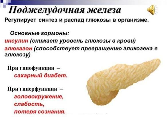 Что регулируют гормоны поджелудочной железы