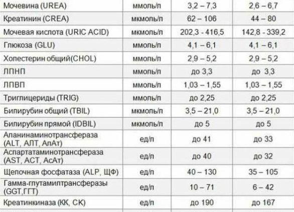 Аст кровь у женщин