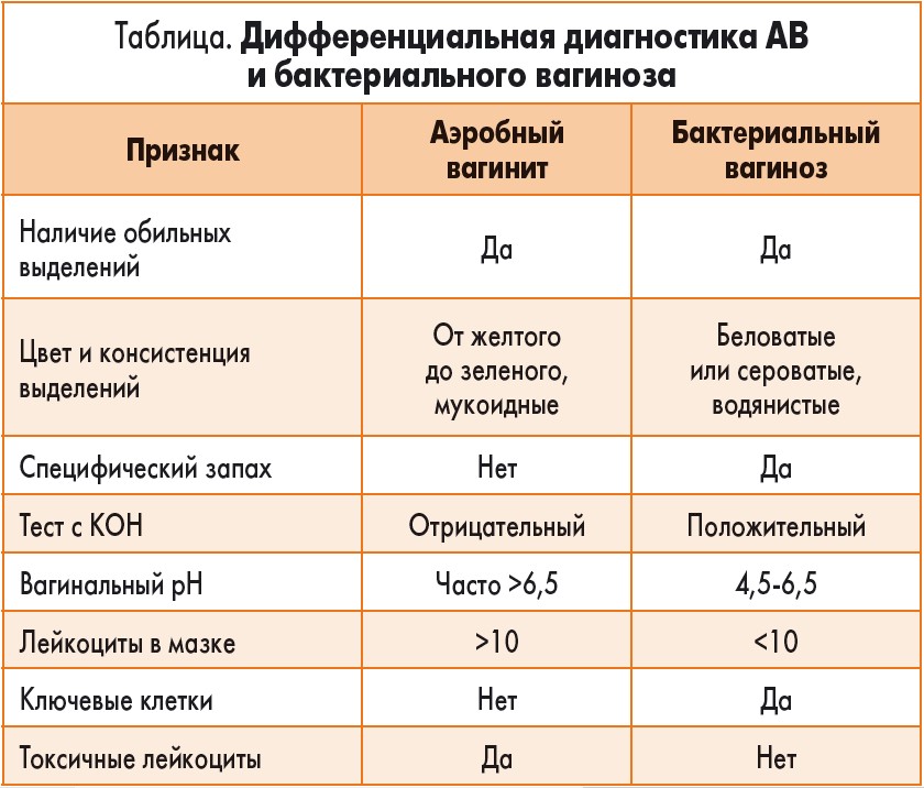 Аэробная микрофлора в мазке
