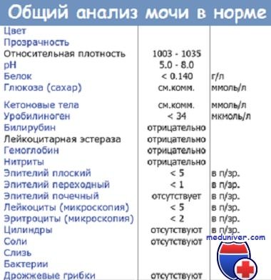 Лейкоцитарная эстераза в моче