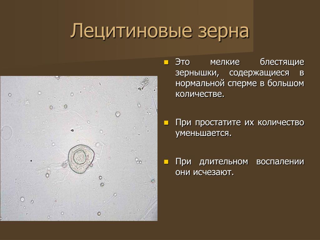 Лецитиновые зерна что это