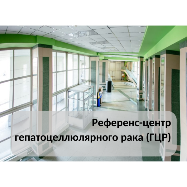 Матка женщины фото внутри через зеркало
