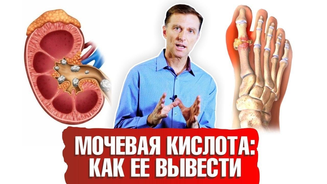 Мочевая кислота в крови повышена что это значит