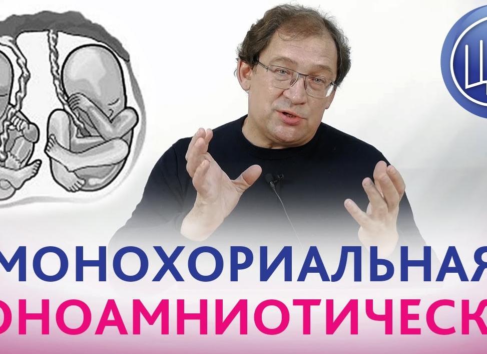 Монохориальная моноамниотическая двойня что это