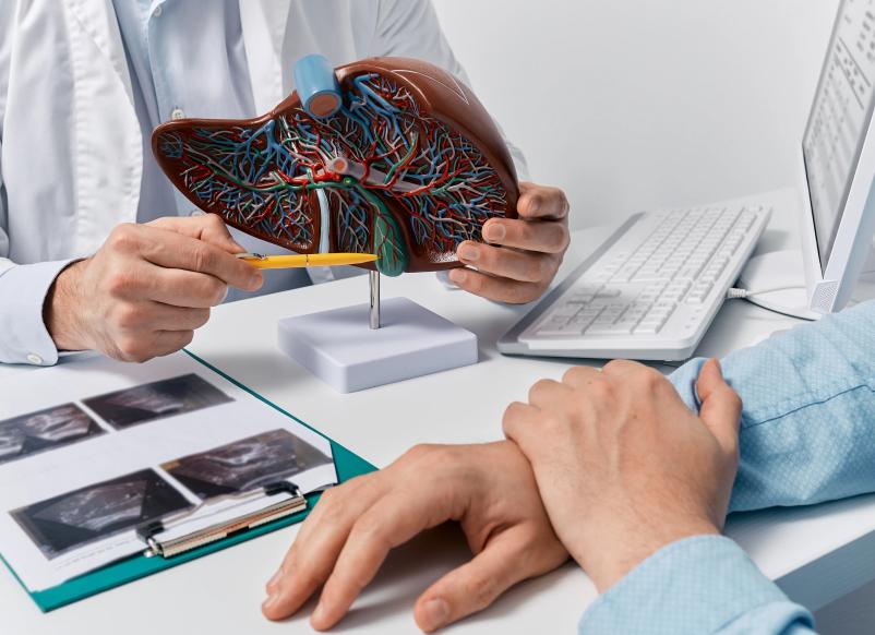 Какие анализы сдать для проверки печени