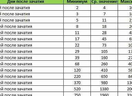 Хгч после эко