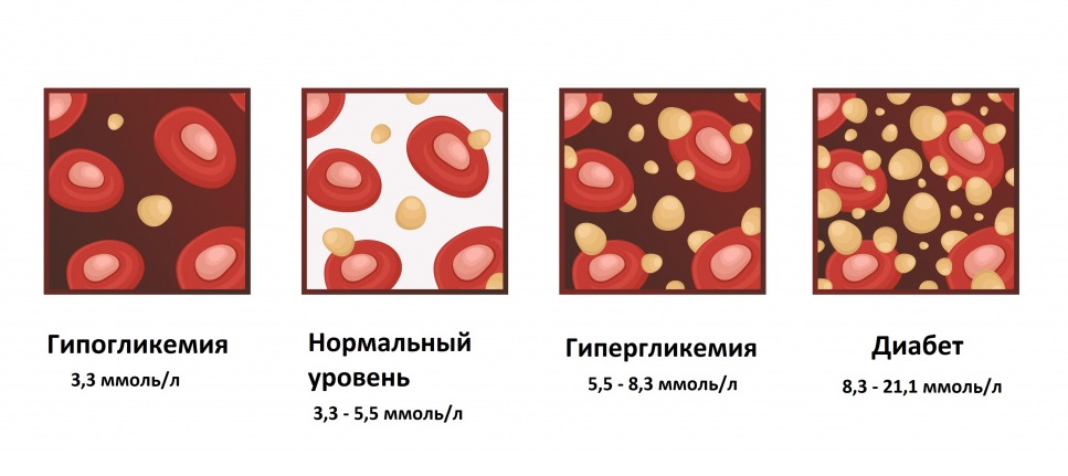 Анализ крови на глюкозу что это такое