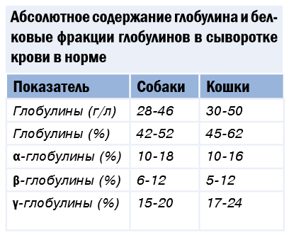 Глобулины в крови